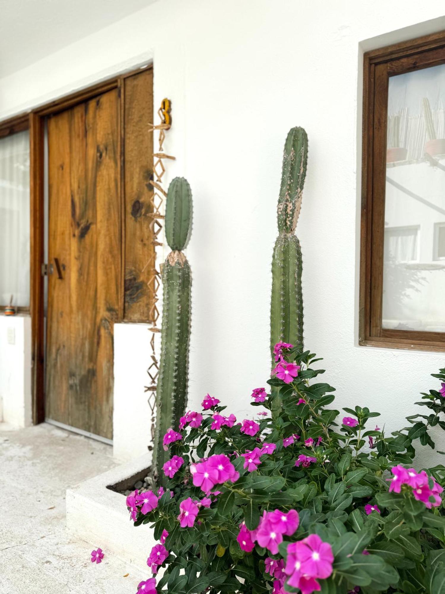 فندق Casa Leone La Punta Brisas de Zicatela المظهر الخارجي الصورة